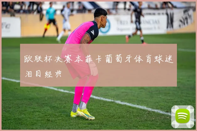 欧联杯决赛本菲卡葡萄牙体育球迷泪目经典