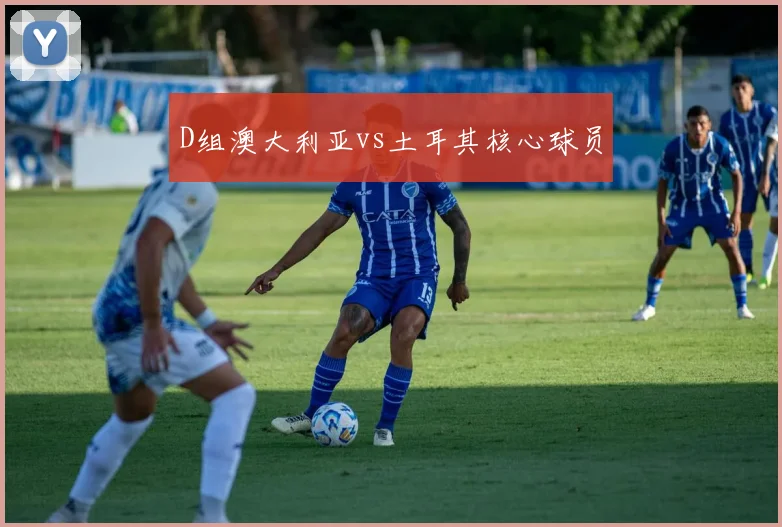 D组澳大利亚vs土耳其核心球员
