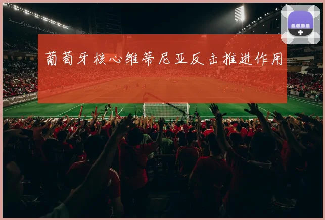 葡萄牙核心维蒂尼亚反击推进作用