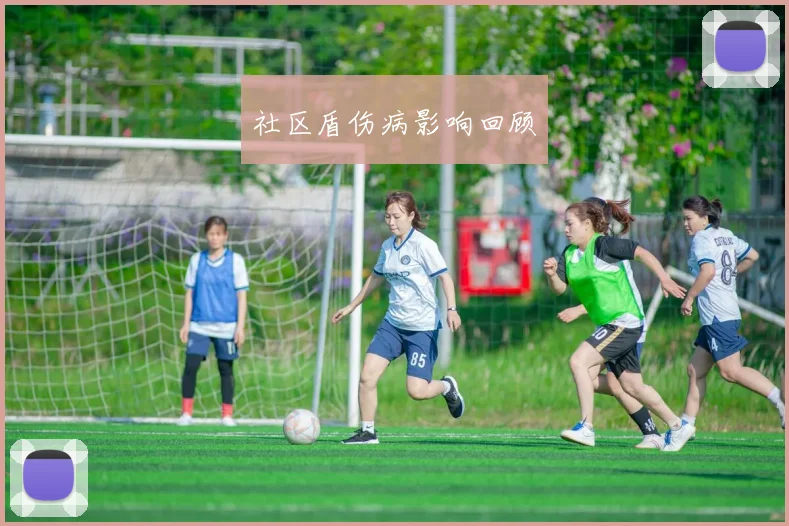社区盾伤病影响回顾