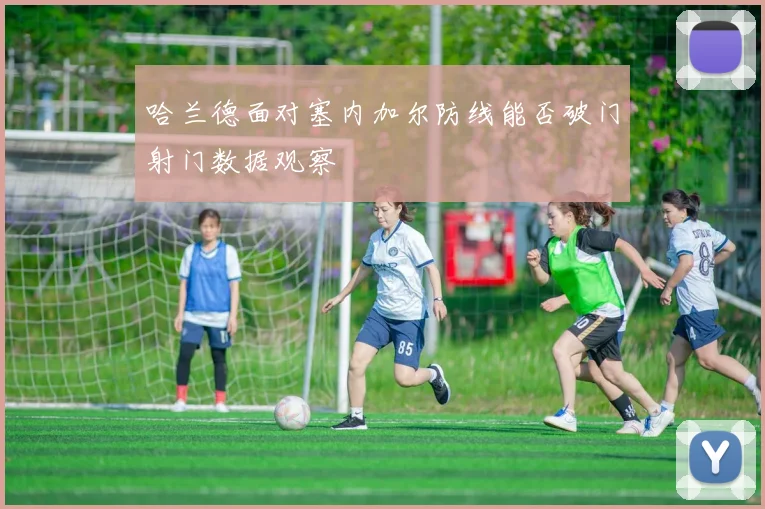 哈兰德面对塞内加尔防线能否破门射门数据观察